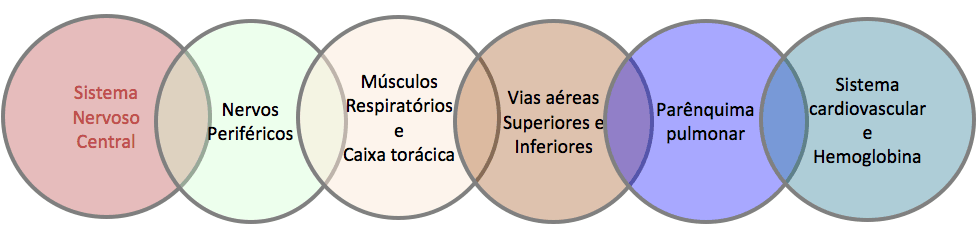 Componentes do sistema respiratório