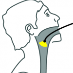 laringoscopia-aparelho