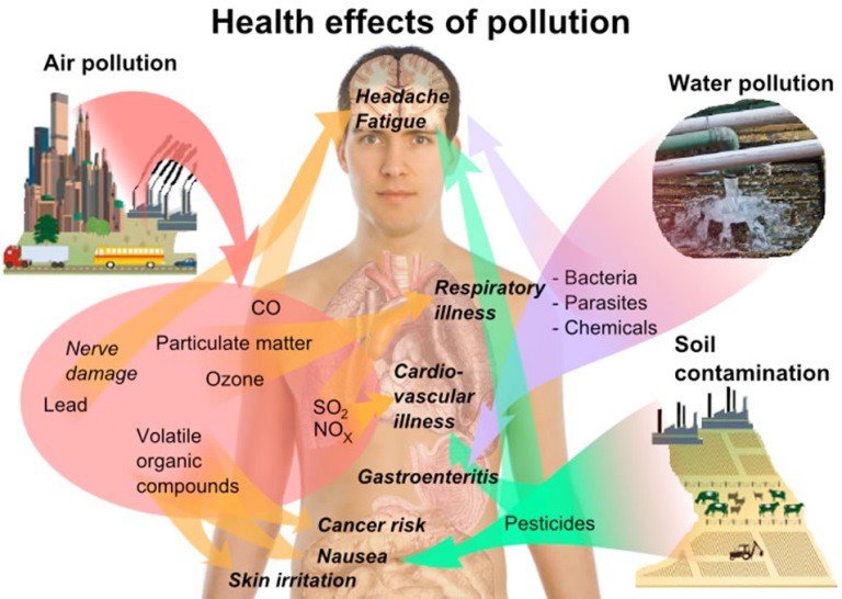 Health effects of pollution